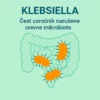 Stolica bak/mik (disbioza i Klebsiella)