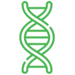 BRCA1,2 sekvenciranje poznatog regiona-srodnik, NGS