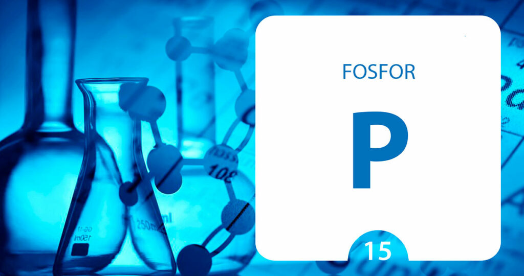 Šta su neorganski fosfati i zašto su važni za zdravlje pojedinca? 3 Neogranski fosfati značaj - Beo-lab