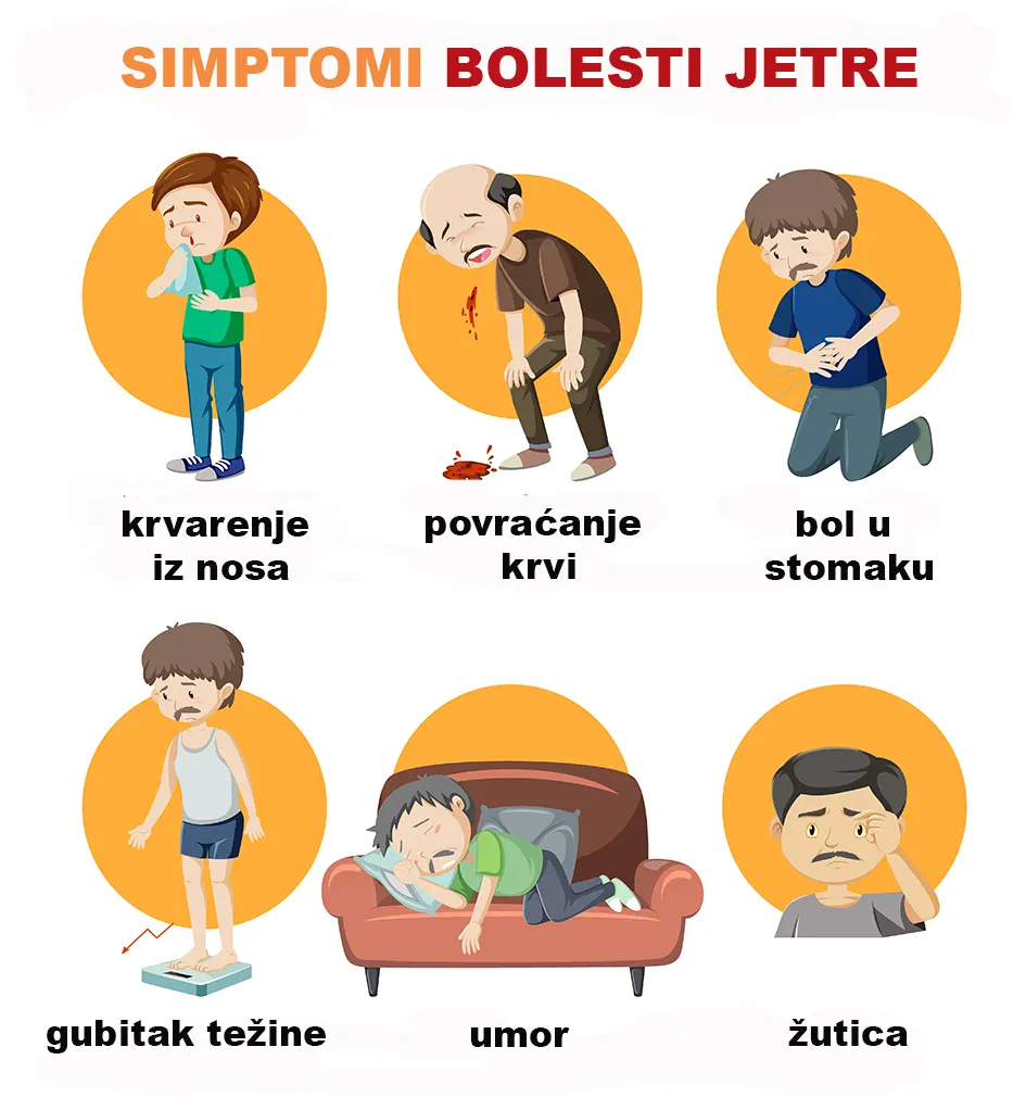 Uzroci i simptomi bolesti jetre 1