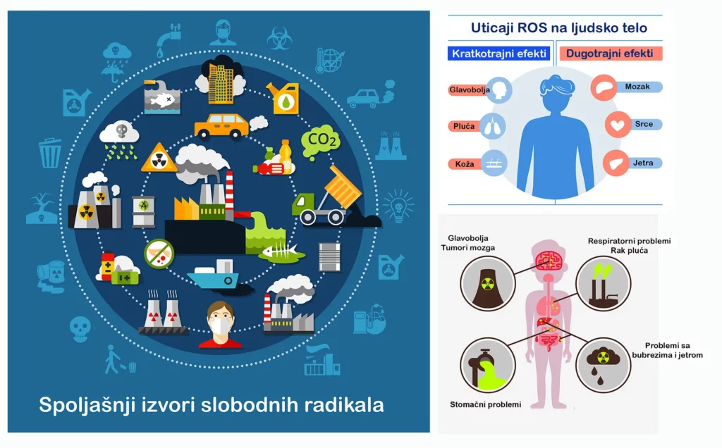 Šta su antioksidansi i koja je njihova uloga? 1