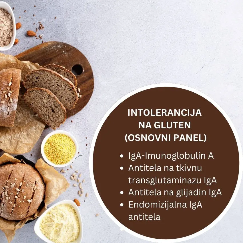 Intolerancija na gluten osnovni panel