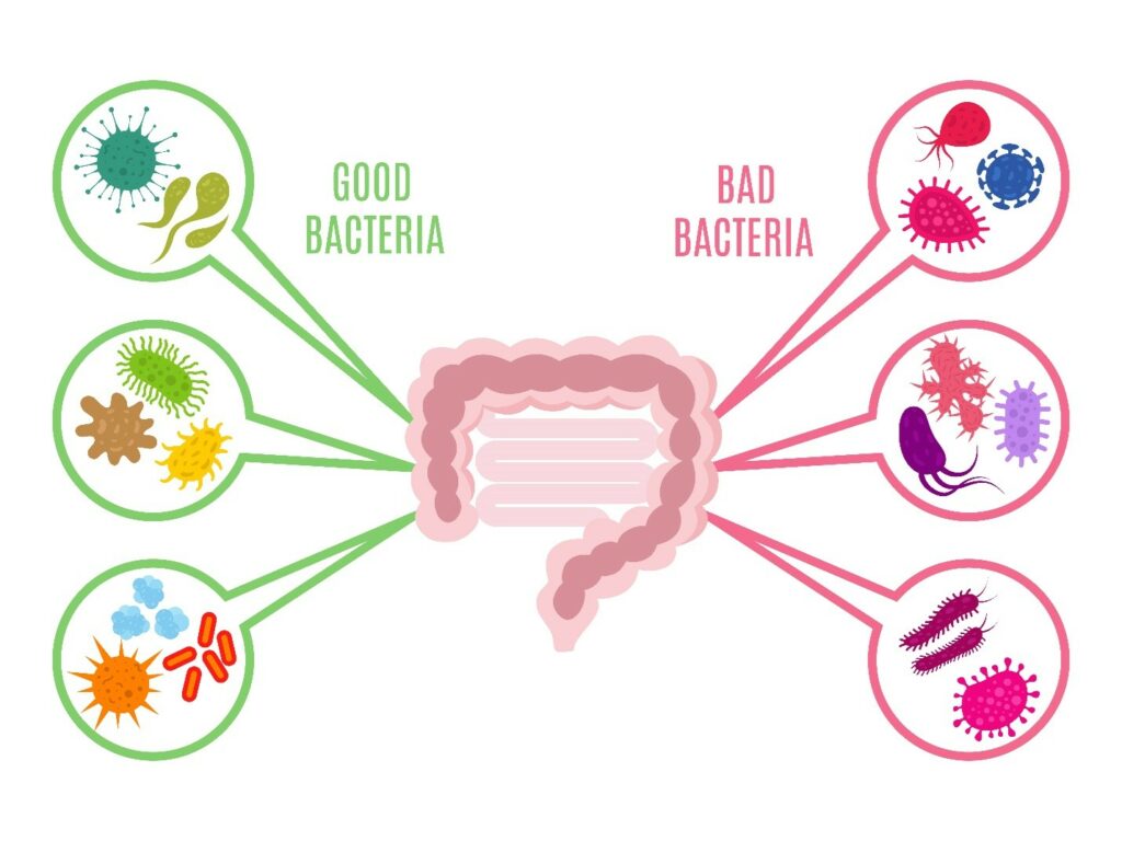 Crevna mikrobiota-kako može uticati na mentalno zdravlje? 2