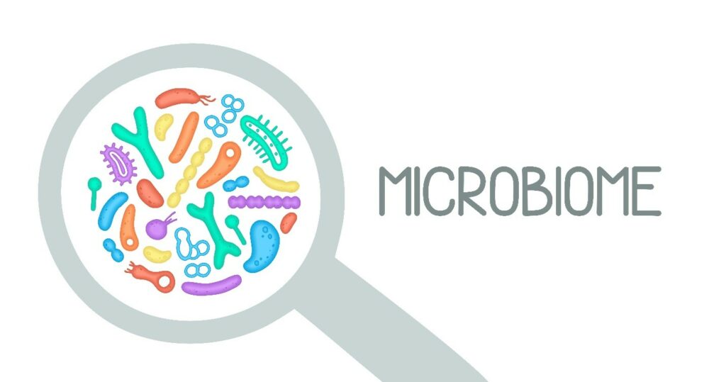 Crevna mikrobiota-kako može uticati na mentalno zdravlje? 1