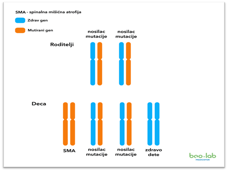 Prenatalni test - Šta je bitno da znam prilikom izbora? 6 Prenatalni test - Šta je bitno da znam prilikom izbora? 4