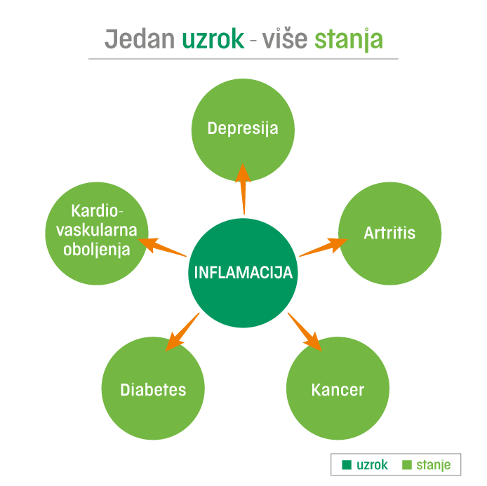 Kabinet za funkcionalnu medicinu 4